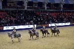 Quadrille - 00769